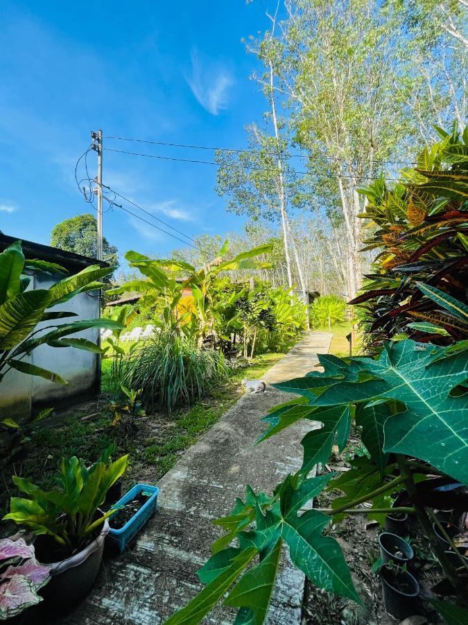Lok Mun Bungalows Đảo Koh Yao Noi Ngoại thất bức ảnh